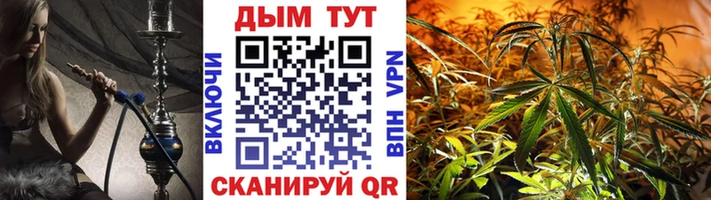 Бошки марихуана Amnesia  Купить где  Дудинка 